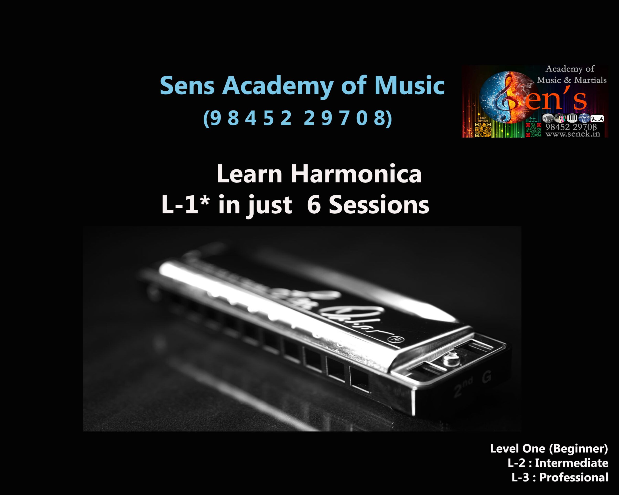 We offer short courses on Harmonica for Corporate staff as engagement programs